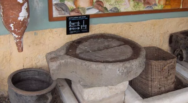 15 įdomių faktų apie alyvuogių aliejų, kurie jus nustebins